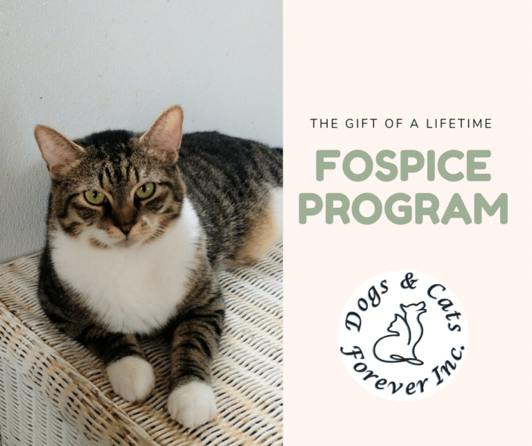 Fospice Program