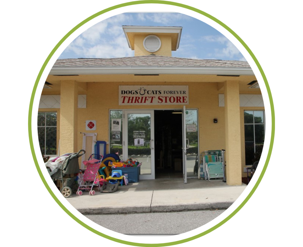 Thrift Store