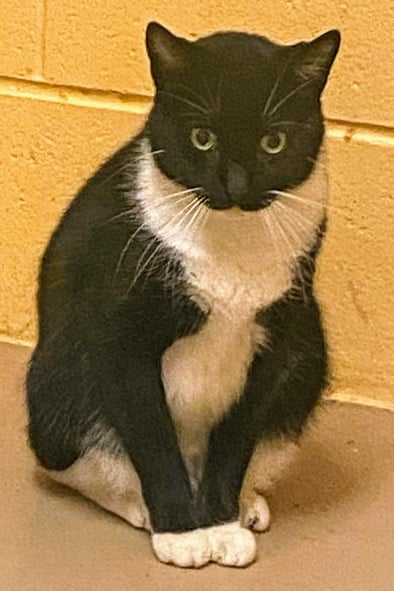 Tux
