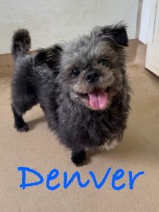 Denver