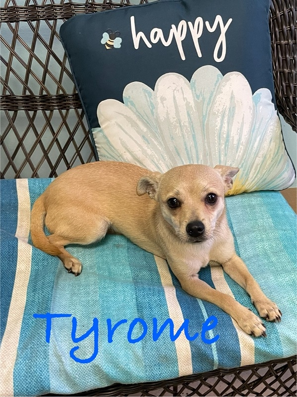 Tyrome